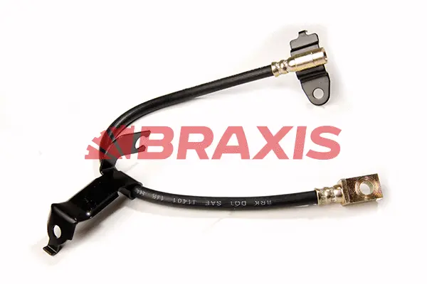 Brake Hose (AH0168)