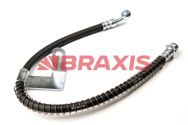 Brake Hose (AH0182)