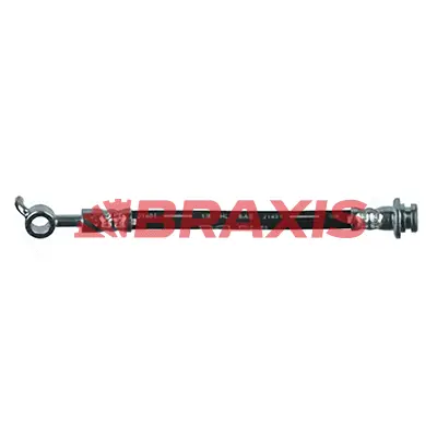 Brake Hose (AH0757)