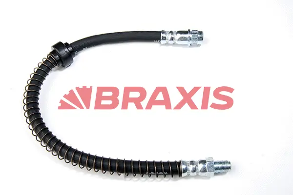 Brake Hose (AH0043)
