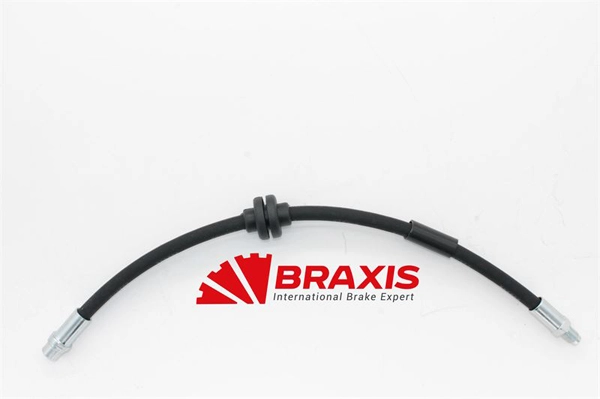 Brake Hose (AH0929)