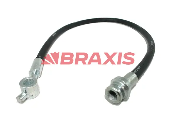 Brake Hose (AH0556)