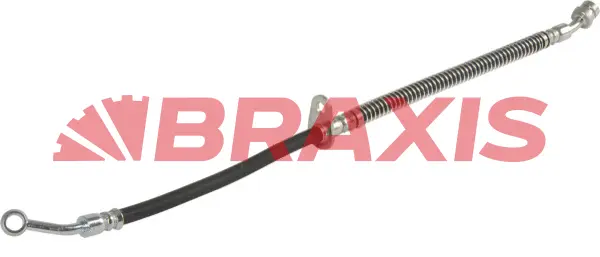 Brake Hose (AH0625)