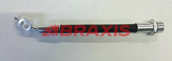 Brake Hose (AH0849)