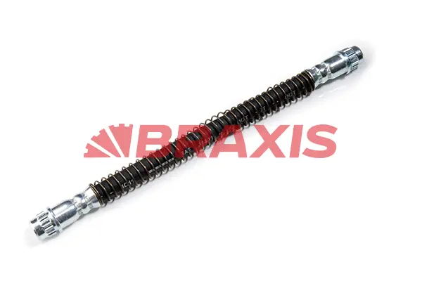 Brake Hose (AH0096)