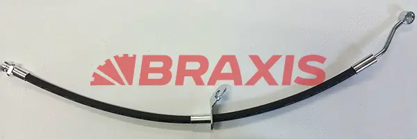 Brake Hose (AH0789)