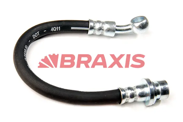 Brake Hose (AH0310)