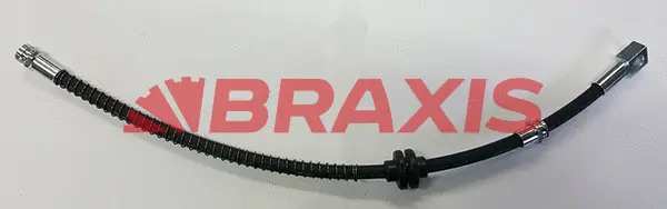 Brake Hose (AH0729)