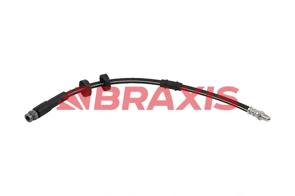 Brake Hose (AH0794)