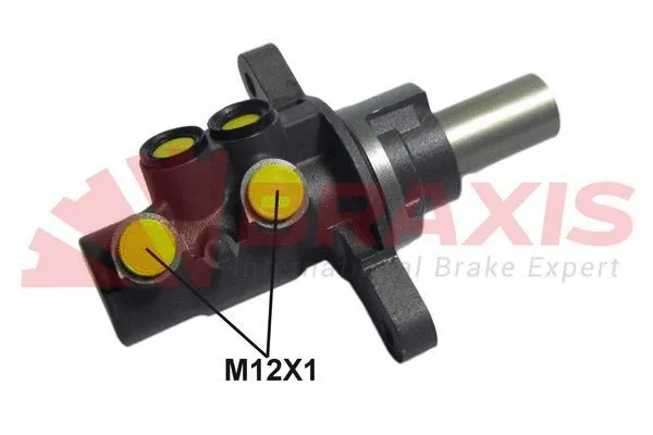 Brake Master Cylinder (AJ0170)