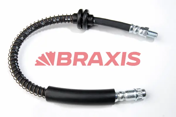 Brake Hose (AH0035)