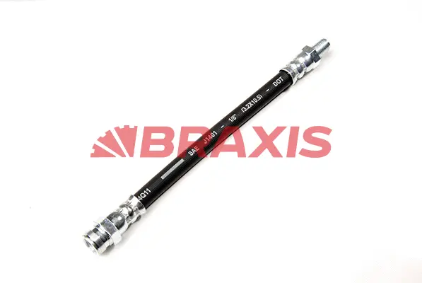 Brake Hose (AH0322)