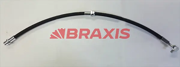 Brake Hose (AH0847)