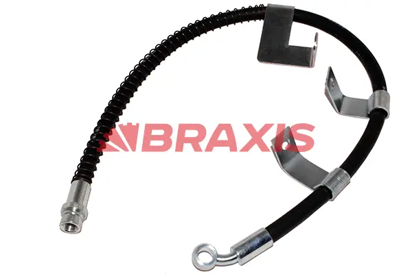 Brake Hose (AH0682)