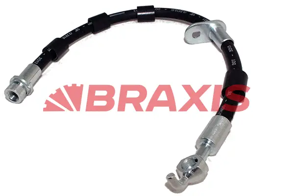 Brake Hose (AH0618)