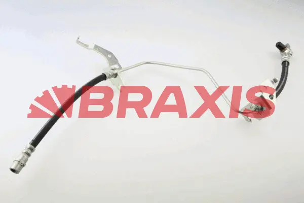 Brake Hose (AH0764)