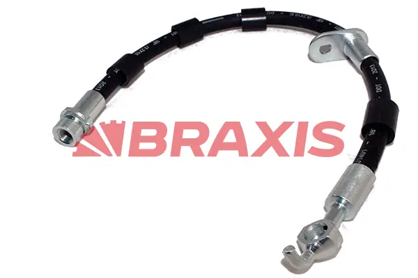 Brake Hose (AH0616)