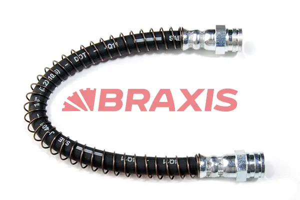 Brake Hose (AH0318)