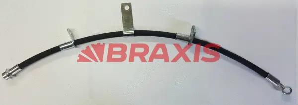 Brake Hose (AH0840)