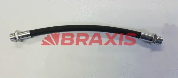 Brake Hose (AH0838)