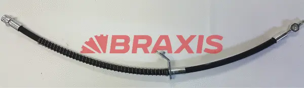 Brake Hose (AH0824)