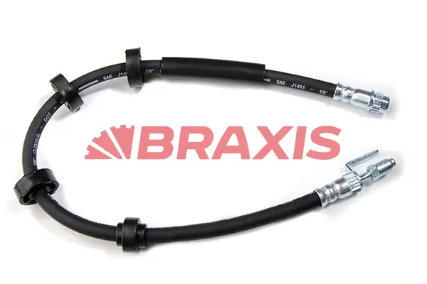 Brake Hose (AH0089)