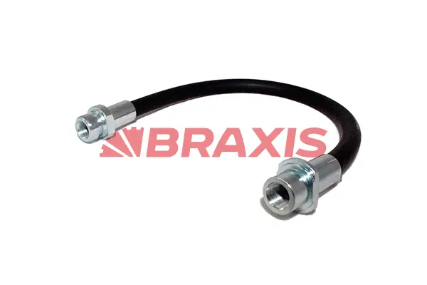Brake Hose (AH0590)