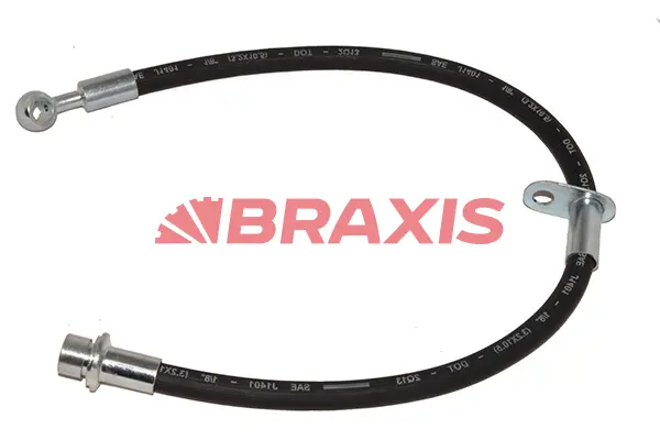 Brake Hose (AH0694)
