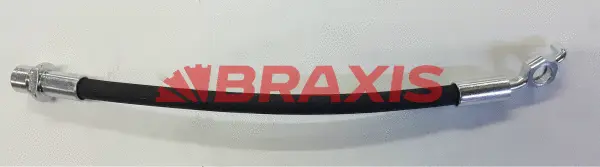 Brake Hose (AH0829)