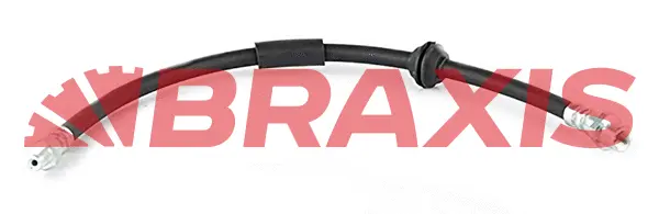 Brake Hose (AH0767)