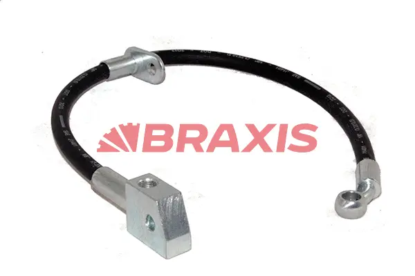 Brake Hose (AH0606)