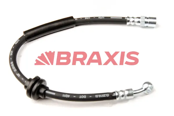 Brake Hose (AH0519)