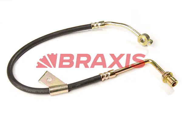 Brake Hose (AH0164)