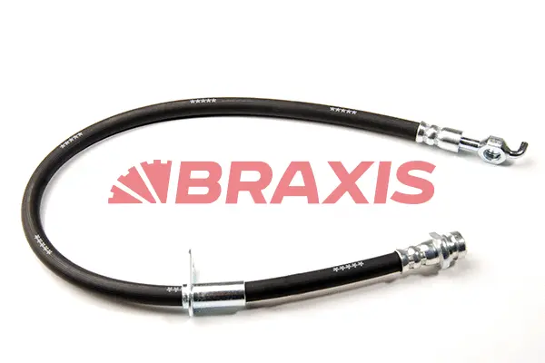 Brake Hose (AH0219)