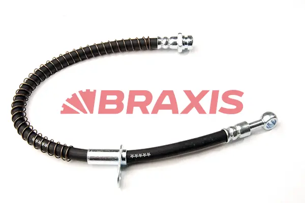 Brake Hose (AH0319)