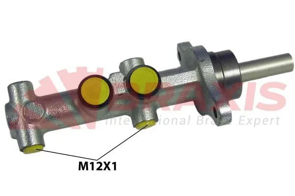 Brake Master Cylinder (AJ0113)