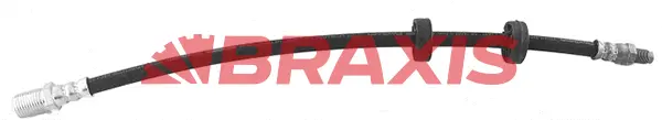 Brake Hose (AH0712)
