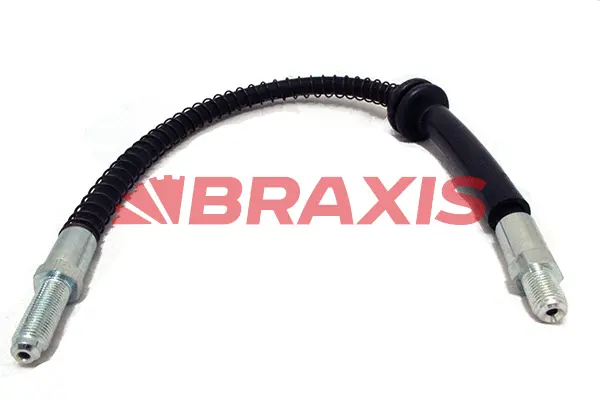 Brake Hose (AH0653)