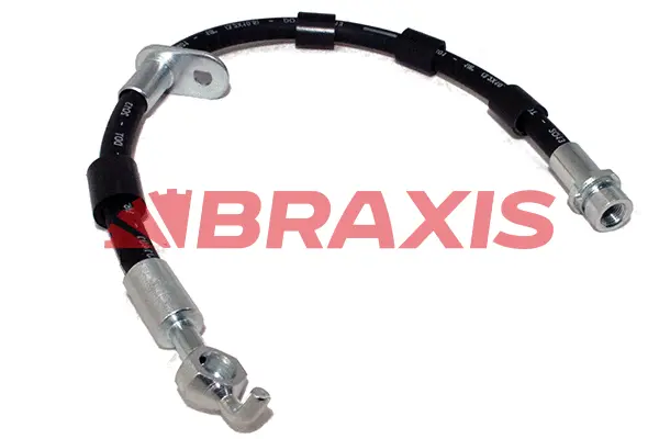 Brake Hose (AH0619)