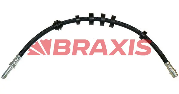 Brake Hose (AH0743)