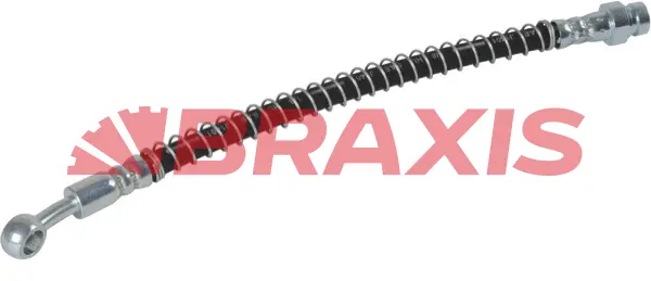 Brake Hose (AH0719)