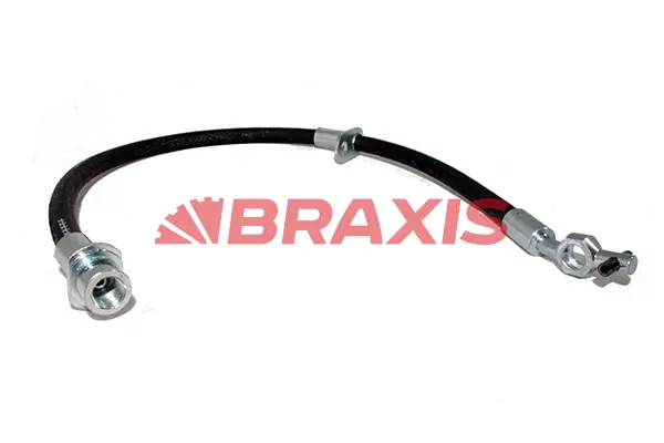 Brake Hose (AH0588)