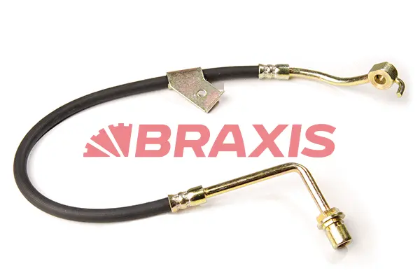 Brake Hose (AH0163)