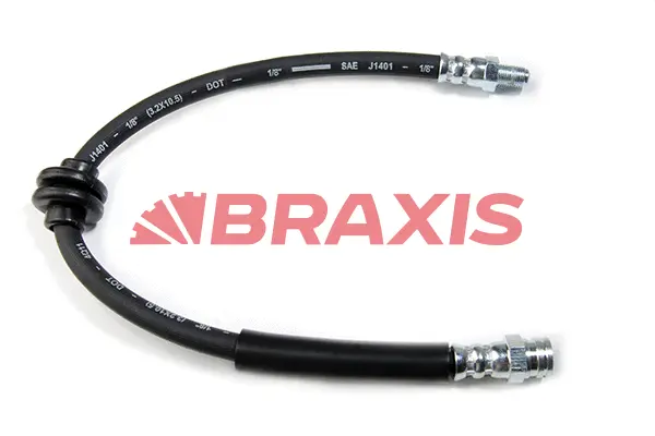 Brake Hose (AH0021)