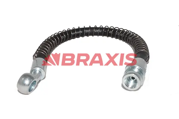 Brake Hose (AH0634)