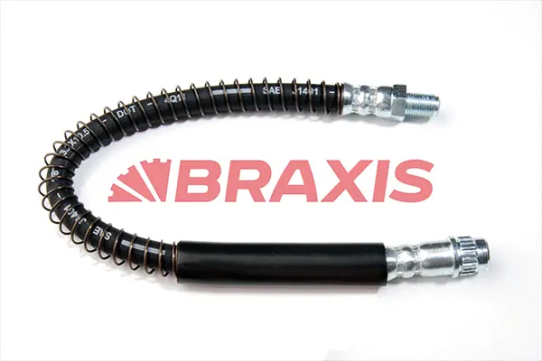 Brake Hose (AH0081)