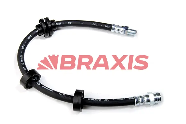 Brake Hose (AH0032)