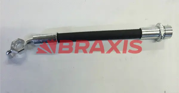 Brake Hose (AH0856)