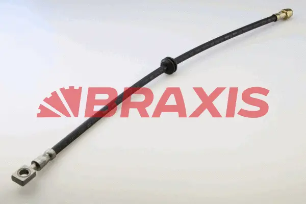 Brake Hose (AH0765)