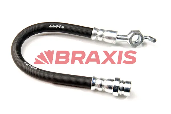 Brake Hose (AH0203)